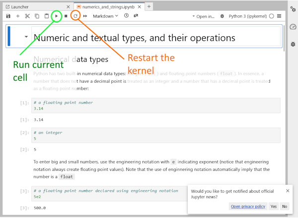 Run code in the current cell or restart the kernel